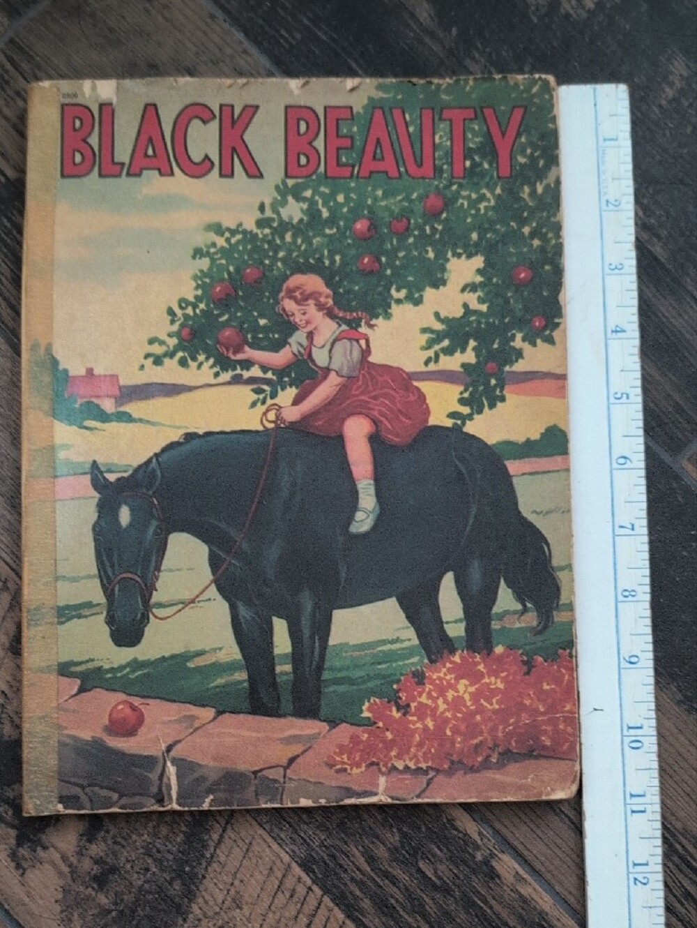 Black Beauty 1920's Vintage Antique Children Book Retro Cover Illustration Rare - Picture 13 of 14